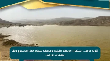 تنويه عاجل.. استمرار الأمطار الغزيرة وعاصفة سيناء لهذا الأسبوع وفق توقعات الأرصاد